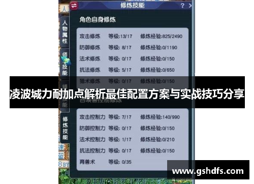 凌波城力耐加点解析最佳配置方案与实战技巧分享