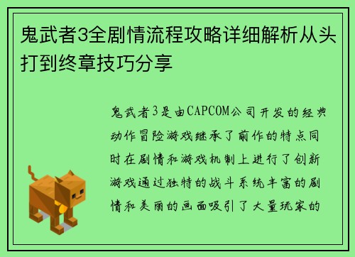 鬼武者3全剧情流程攻略详细解析从头打到终章技巧分享